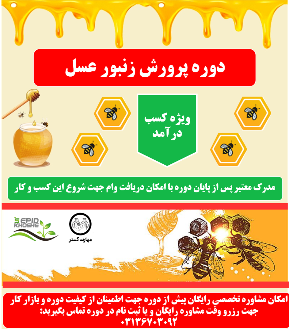 دوره آموزش پرورش زنبور عسل در اصفهان | آموزشگاه پرورش زنبور عسل اصفهان